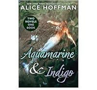 Algopix Similar Product 4 - Aquamarine  Indigo Two Novels One