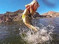 Algopix Similar Product 9 - Fishing the Tokyo Rig with Gary Senft