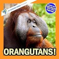 Algopix Similar Product 20 - Orangutans A My Incredible World