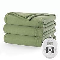 Algopix Similar Product 9 - Sunbeam Royal Ultra Ivy Heated Blanket