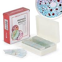Algopix Similar Product 5 - AmScope PS25P Prepared Microscope Slide