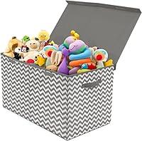Algopix Similar Product 7 - Sorbus Storage Chest with FlipTop Lid