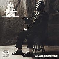 Algopix Similar Product 9 - I Am The Blues
