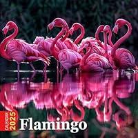 Algopix Similar Product 6 - Flamingo Calendar 2025 365 Days of