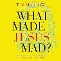 Algopix Similar Product 19 - What Made Jesus Mad Rediscover the