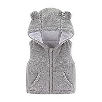 Algopix Similar Product 7 - Baby Girl Boy Fleece Hooded Jacket Vest