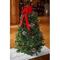 Algopix Similar Product 10 - Worcester Wreath 18Inch The Maine