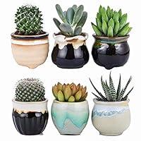 Algopix Similar Product 11 - 25 Inch Ceramic PlantersFlowing Glaze