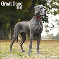 Algopix Similar Product 11 - Great Dane Euro Calendar 2025 