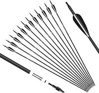 Algopix Similar Product 18 - KESHES Archery Carbon Arrows for