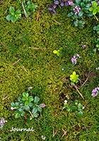 Algopix Similar Product 1 - Journal Mossy Forest Floor  5mm dot