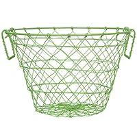 Algopix Similar Product 4 - Benjara BM165442 Green Iron Wire Basket
