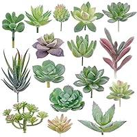 Algopix Similar Product 17 - Augshy Artificial Succulents 16 Pack