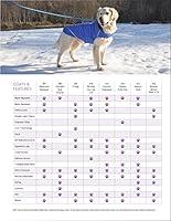Algopix Similar Product 10 - RC Pet Products Packable Dog Rain