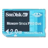 Algopix Similar Product 19 - SanDisk SDMSG2048A11 2GB MS PRO Duo