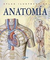 Algopix Similar Product 8 - Atlas Ilustrado De Anatomia Spanish