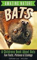 Algopix Similar Product 12 - Bats A Childrens Book About Bats 