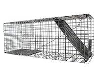 Algopix Similar Product 4 - Havahart 1079 Large Live Animal