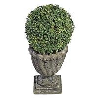 Algopix Similar Product 10 - Design Toscano SE11155 The Topiary Tree
