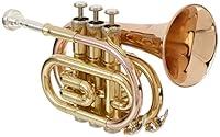 Algopix Similar Product 13 - Roy Benson RBPT101G Bb Pocket Trumpet