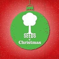 Algopix Similar Product 9 - Seeds Family Worship Seeds Of