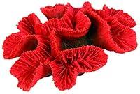 Algopix Similar Product 20 - Angels Aquatics  Pet Supplies Button