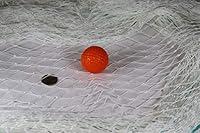 Algopix Similar Product 11 - Golf Ball Barrier Hockey Barrier