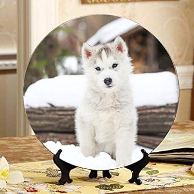 Best Deal for Lajro Small Cute Siberian Husky Outdoors Modern Ceramic