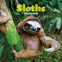 Algopix Similar Product 5 - 2025 Sloths Mini calendar Plastic Free