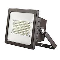 Algopix Similar Product 2 - Acclaim Lighting 1423BZ Floodlight