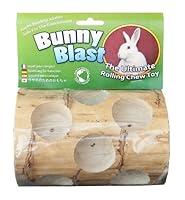 Algopix Similar Product 14 - Bunny Blast Yucca Chew Toy