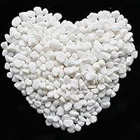 Algopix Similar Product 12 - Wayber Decorative Stones 1 Lb455g