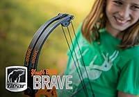Algopix Similar Product 4 - Bear Archery Brave Youth Bow