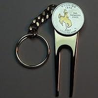 Algopix Similar Product 7 - Wyoming Statehood Quarter  Gorgeously