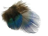 Algopix Similar Product 17 - Moonlight Feather  100 Pieces 