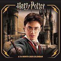 Algopix Similar Product 1 - 2025 Harry Potter Mini Wall Calendar