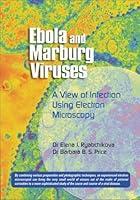 Algopix Similar Product 19 - Ebola and Marburg Viruses A View of