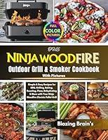 Algopix Similar Product 8 - The Ninja Woodfire Outdoor Grill 