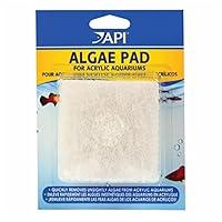 Algopix Similar Product 17 - Algae Hand Pad For Acrylic