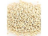 Algopix Similar Product 15 - BULK GRAINS Barley Hulled Organic 25
