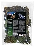Algopix Similar Product 12 - Terrarium Moss  substrate for humid