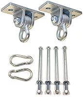 Algopix Similar Product 2 - Eastern Jungle Gym 2 Heavy Duty Swing