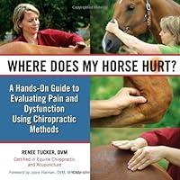 Algopix Similar Product 17 - Where Does My Horse Hurt A HandsOn