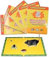Algopix Similar Product 10 - Mouse Glue Trap Extra Large Rat Glue