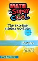 Algopix Similar Product 13 - The Extreme Algebra Workout Book 2 