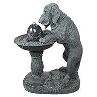 Algopix Similar Product 1 - Water Fountain  Dogs Refreshing Drink