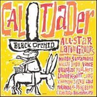 Algopix Similar Product 15 - Black Orchid
