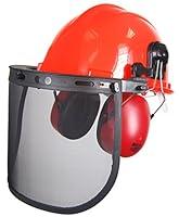 Algopix Similar Product 17 - Complete with a Canopy Headset