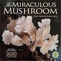 Algopix Similar Product 15 - The Miraculous Mushroom 2020 Wall