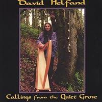 Algopix Similar Product 15 - Callings From the Quiet Grove